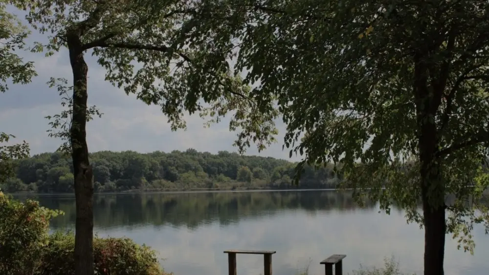 Park Picture