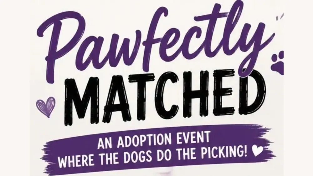Pawfectly Matched