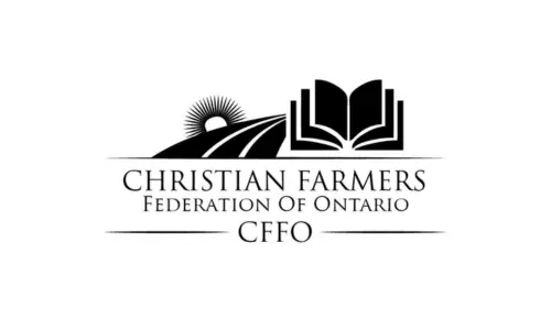 website-advertiser-cffo