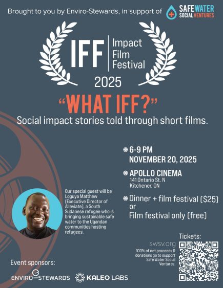 iff25-ticket-poster-adjusted-2