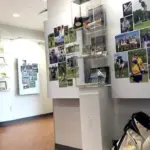 09-26-15hocopening-22