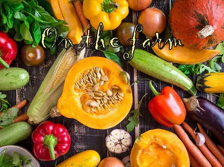 farm-graphic