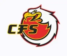 christian-fellowship-eagles