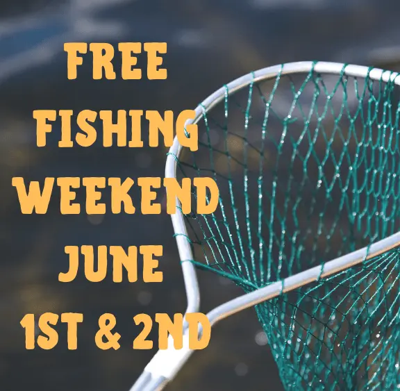free-fish-wknd
