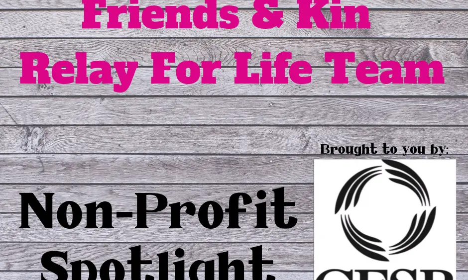 non-profit-spotlight-friends-n-kin
