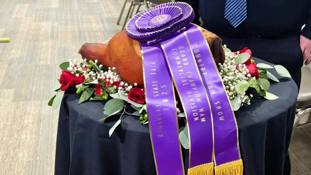536273542_1363273992469123_6800077579230856353_n