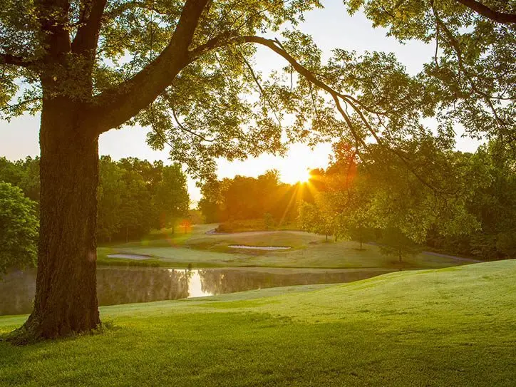 ca39d0569b8377cae7d7dc6055332be3_slidergolfkydv4_e3f62764-d9d0-edd6-2b10589d01789a2e