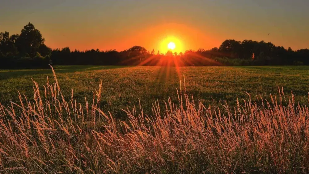sunrise-jonathan-petersson-pexels-scaled-1