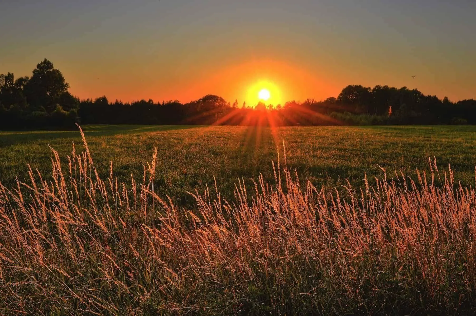 sunrise-jonathan-petersson-pexels-scaled-1