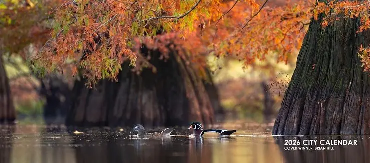 597350023_1288589896629940_1937530249105605025_n-3