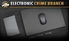 2024-article-graphics-electronic-crime-branch_crop-2