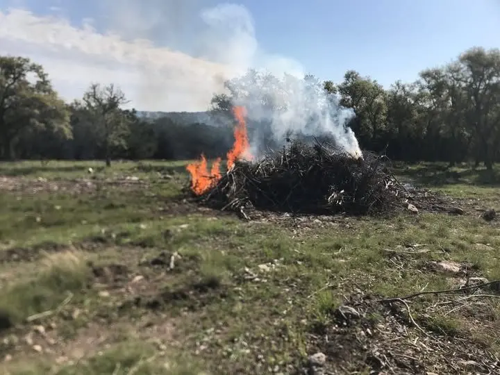 599000023_1201095925458724_1188981524049183260_n