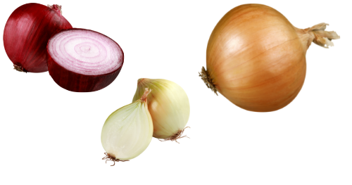 Salmonella Outbreak Linked to Onions - Vimarsana News
