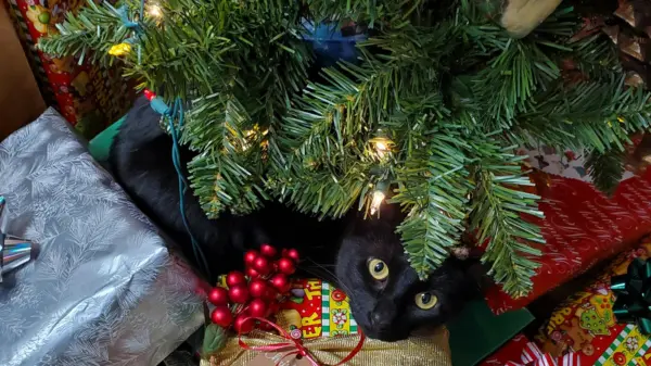 Survey: Gifts Don’t Equal Joy During the Holidays