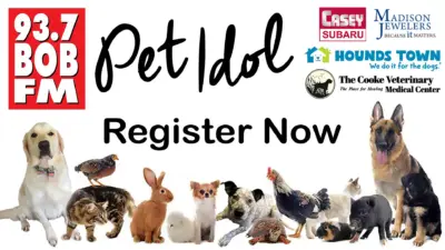 A graphic promoting Pet Idol 2026