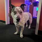 pxl_20251120_164045680