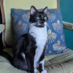 pxl_20251127_165058049-portrait