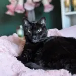 pxl_20251127_165146176-portrait