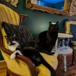 pxl_20251122_025929124-mp