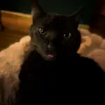 pxl_20260105_232719623