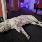 pxl_20251120_164237148