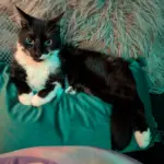 pxl_20260321_000446775