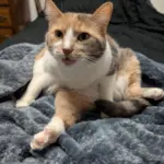 pxl_20251223_024424992-1