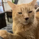 img_20260111_120549-2