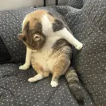 img_20260302_105105-2