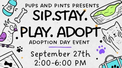 cherish_sit_stay_play_adopt_wide