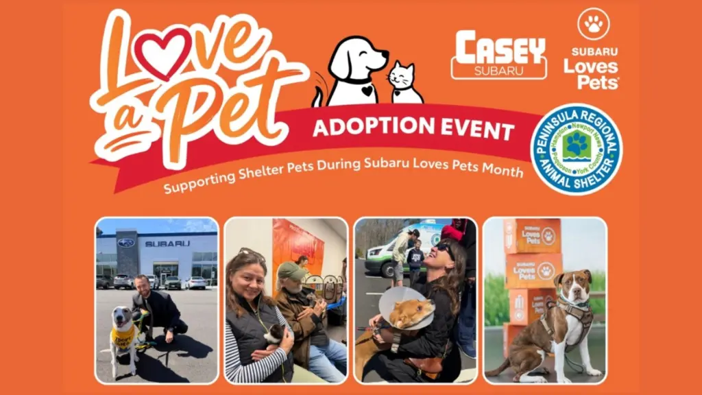 Image promoting Casey Subaru Saturday, October 17th, from 11 AM to 2 PM. Peninsula Regional Animal Shelter will be on-site with dogs available for adoption, and Casey Subaru is covering the adoption fees!