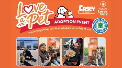Image promoting Casey Subaru Saturday, October 17th, from 11 AM to 2 PM. Peninsula Regional Animal Shelter will be on-site with dogs available for adoption, and Casey Subaru is covering the adoption fees!