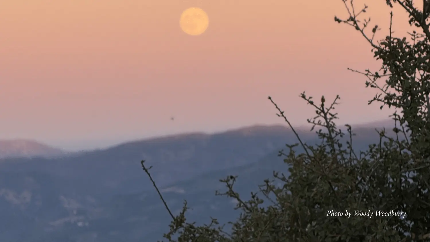 2025-10-06-full-moon-hike-by-woody-woodburry-1-1