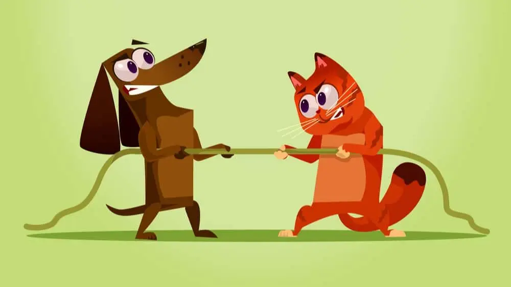 catdog-2