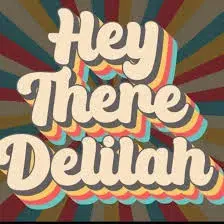 hey-there-delilah246888