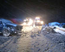 snow-crash1
