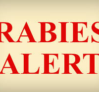 rabies-alert1