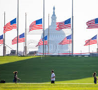 half-staff-flags-in-dc