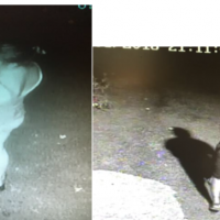fire-suspect1
