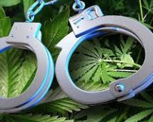 weed-arrests