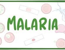 malaria-2