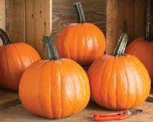 pumpkins
