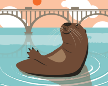 otters2