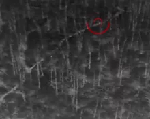 drone-1024x504821739-1