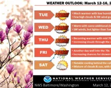 wx1-7-1024x57664447-1