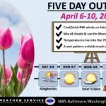 wx1-5-150x150729639-1