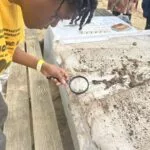 img_0779-150x150630505-1