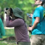 pic1aa-150x150496241-1