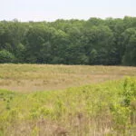 img_4810-150x150307848-1