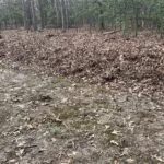 img_1189-150x150574897-1